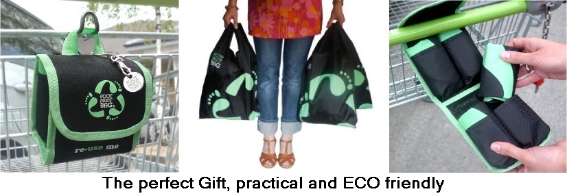 Footprint Bag best reusable bag